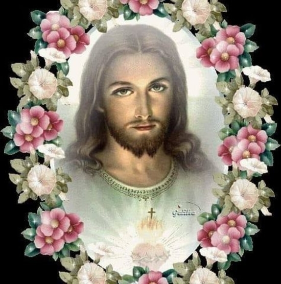 Meet your Posher, Manuel - Picture 1 of 1